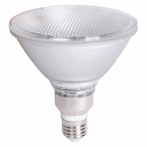 LED-PAR38-15W WW